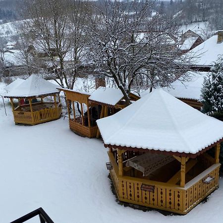 Camere De Inchiriat Floarea Reginei Vişeu de Sus Exterior foto